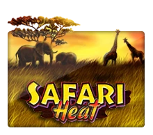 Safari Heat - JFGAMING