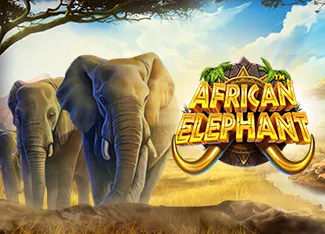 African Elephant - JFGAMING